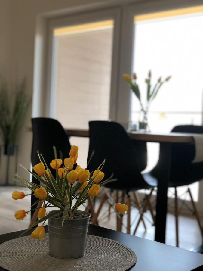 Apartment Sloneczny Piec Morz Sianozety